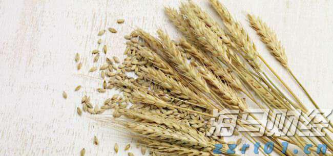 张家口市女排获省排球冠军赛季军