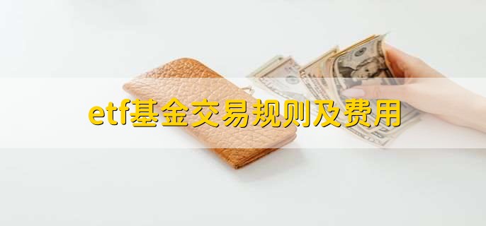 通关高峰+雷雨大风，港珠澳大桥珠海公路口岸发布通关提示