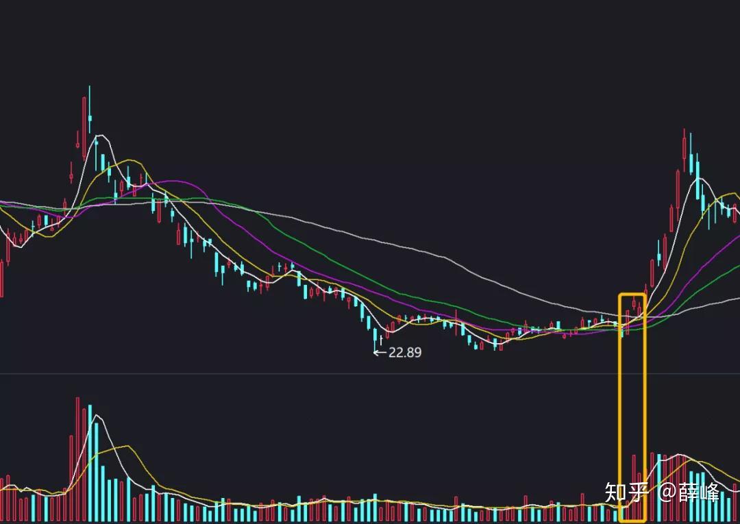 港南区香江龙舟赛激情开赛