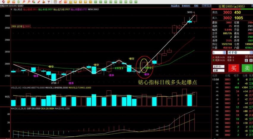 上半年武乐镇固定资产投资同比增长19.13%