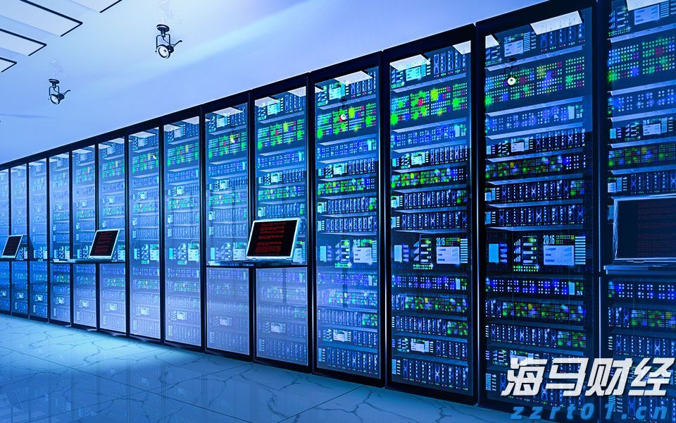 大桥海关查获一起走私濒危鱼翅出境案